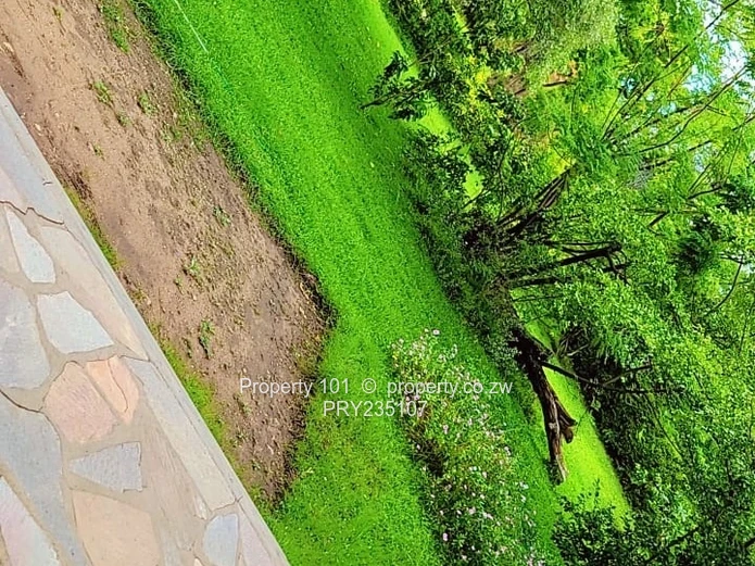 Kariba-Baobab Ridge Gem~ invest in Tranquility 