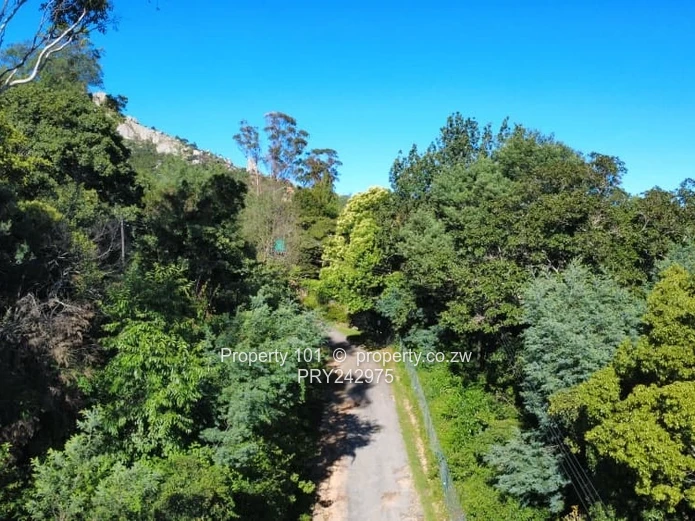 Exquisite Nyanga-MOUNTAIN LIVING FORSALE 120k (Sole Mandate)