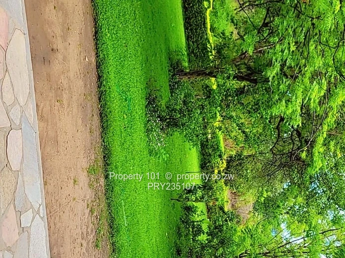 Kariba-Baobab Ridge Gem~ invest in Tranquility 