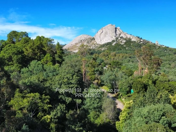 Exquisite Nyanga-MOUNTAIN LIVING FORSALE 120k (Sole Mandate)