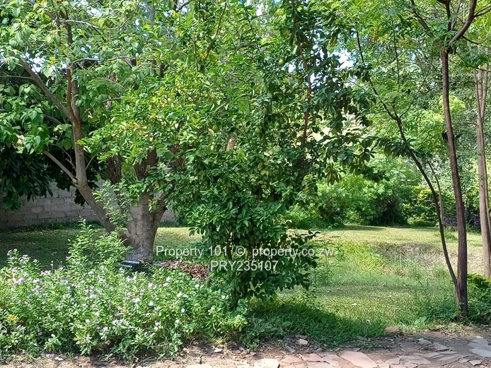 Kariba-Baobab Ridge Gem~ invest in Tranquility 