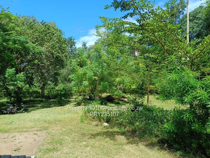 Kariba-Baobab Ridge Gem~ invest in Tranquility 