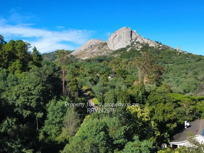 Exquisite Nyanga-MOUNTAIN LIVING FORSALE 120k (Sole Mandate)