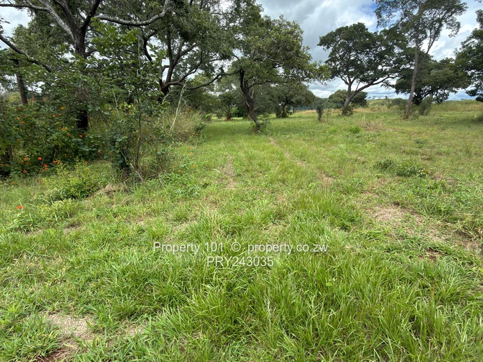 Sale~ The Grove|Boadering Umwinsadale $40,000  #HarareNorth