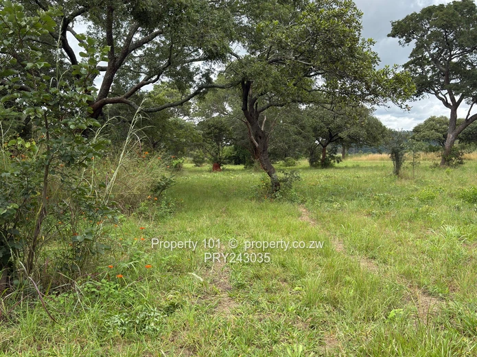 Sale~ The Grove|Boadering Umwinsadale $40,000  #HarareNorth