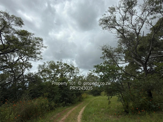 Sale~ The Grove|Boadering Umwinsadale $40,000  #HarareNorth